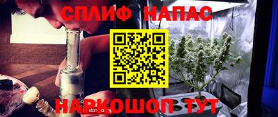 mdpv Брянск
