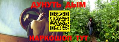 mdpv Брянск