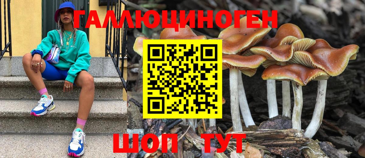Галлюциногенные грибы GOLDEN TEACHER  где найти наркотики  Вход с VPN  Коммунар  Галлюциногенные грибы MAGIC MUSHROOMS 